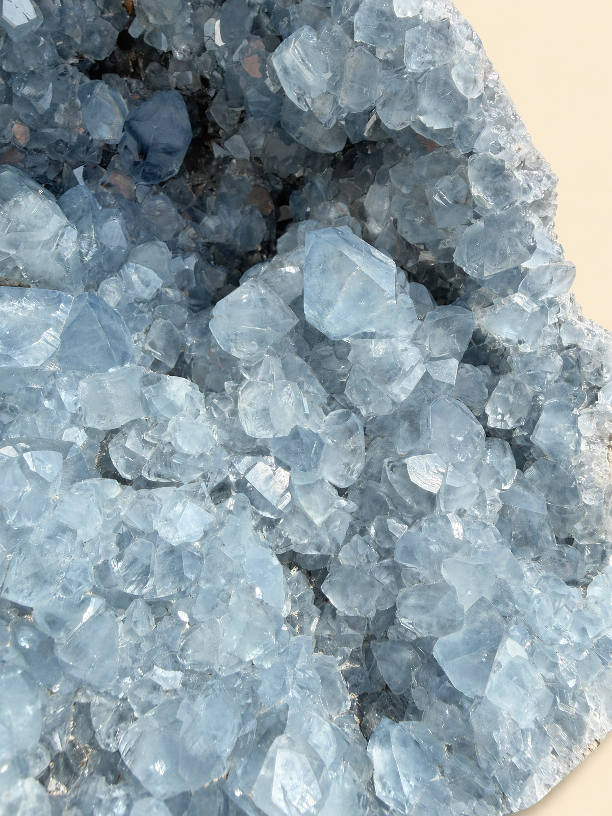 Drusa in Celestite