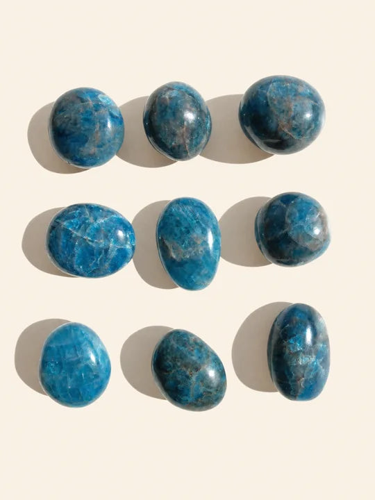 Palm Stone Apatite Blu Piccola