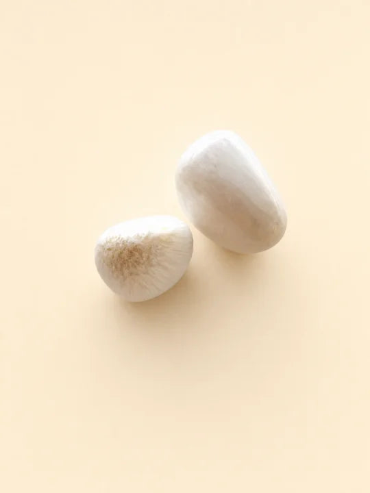 Scolecite Burattata