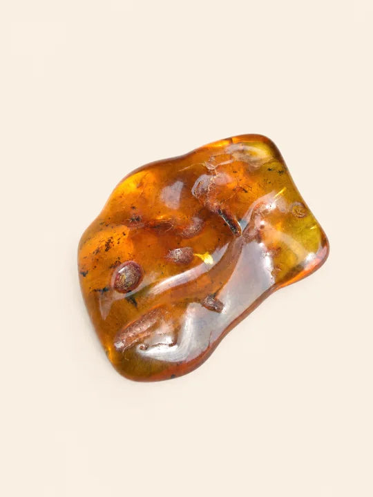 Ambra